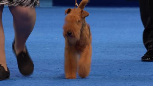 为什么选择我们